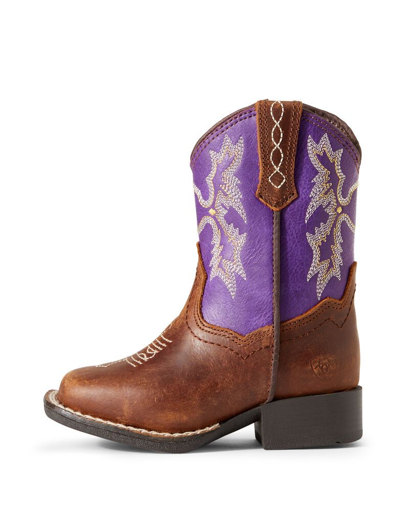 Bottes Western Ariat Stompers Calabasas Marron Enfant | OKW-37696020