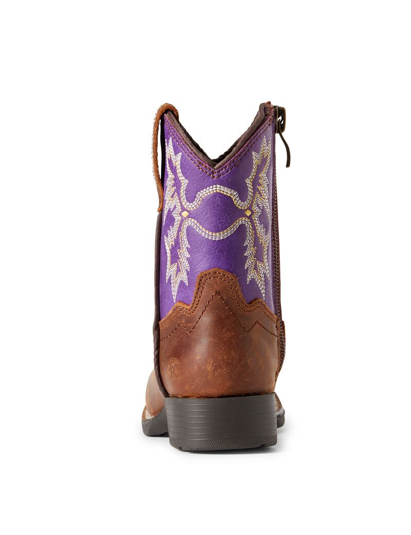 Bottes Western Ariat Stompers Calabasas Marron Enfant | OKW-37696020