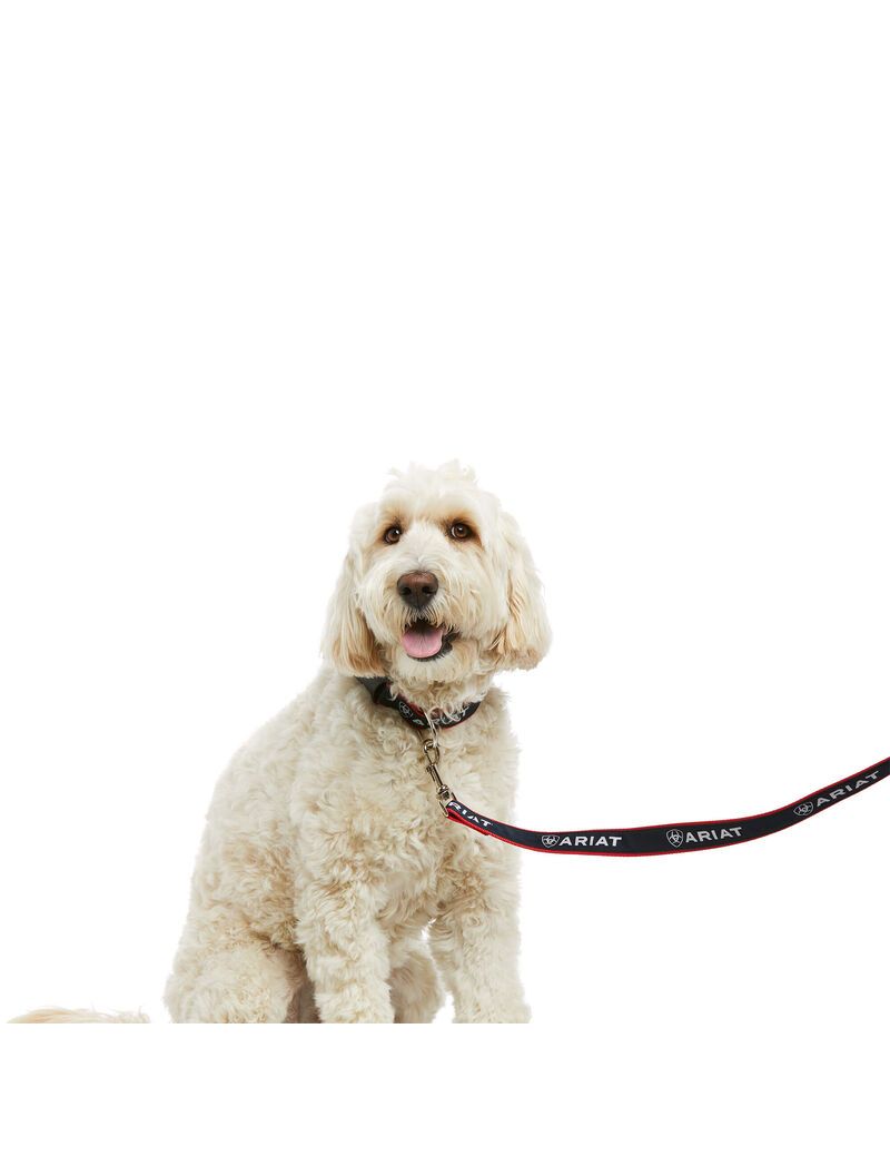 Pet Accessories Ariat Dog Leash Multicolore Femme | HXV-87221368