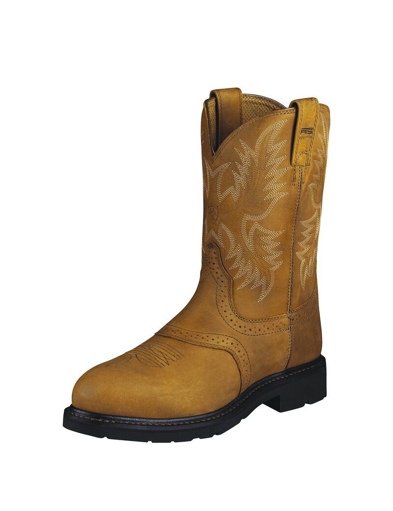 Bottes de Travail Ariat Sierra Saddle Steel Embout Multicolore Homme | NTP-25459636