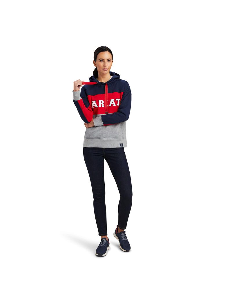 Sweat à Capuche Ariat Rabere Team Bleu Marine Femme | PQB-69277910