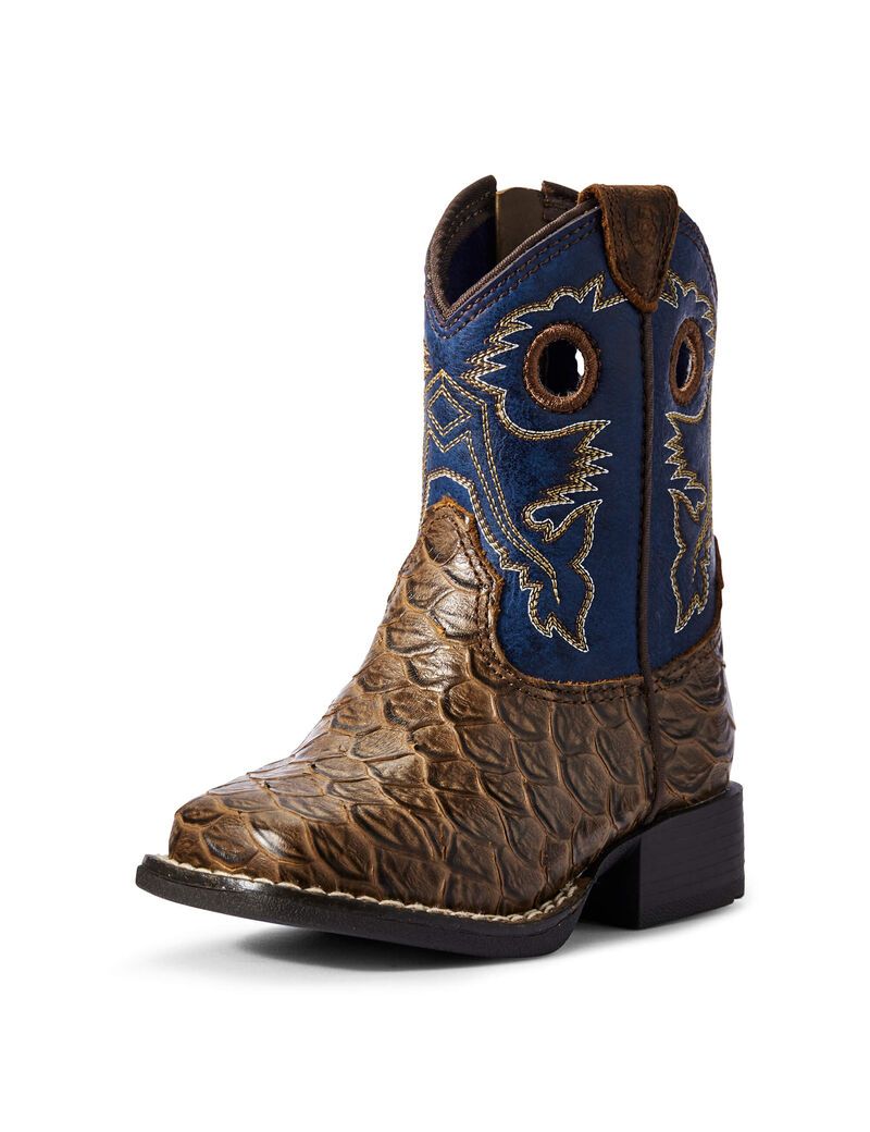 Bottes Western Ariat Stompers Orlando Marron Enfant | LQB-37391607