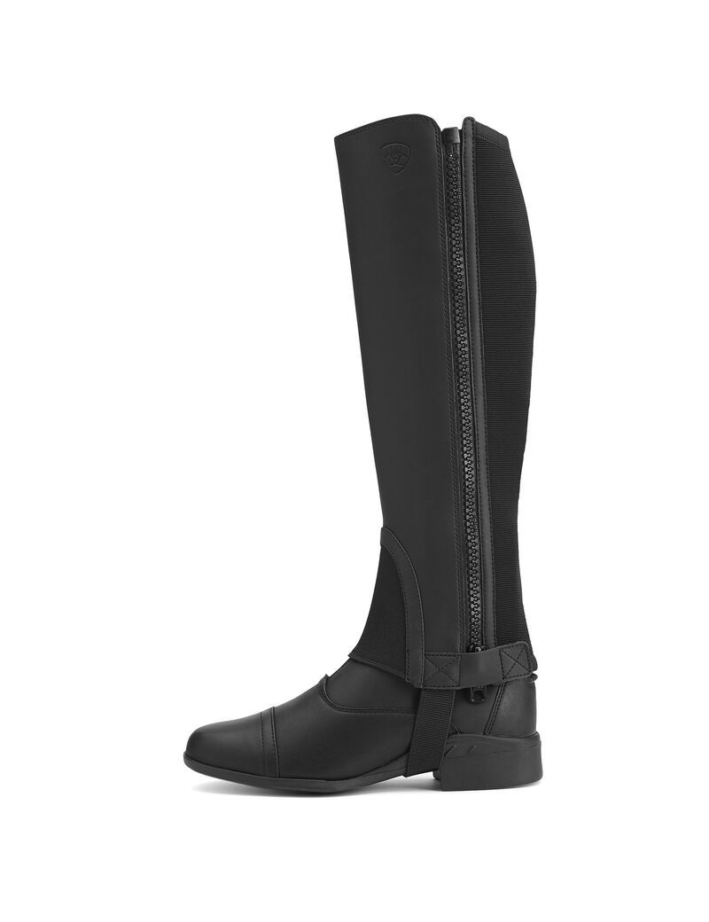 Bottes D'équitation Ariat Scout Chap Half Chap Noir Homme | DZA-84288897