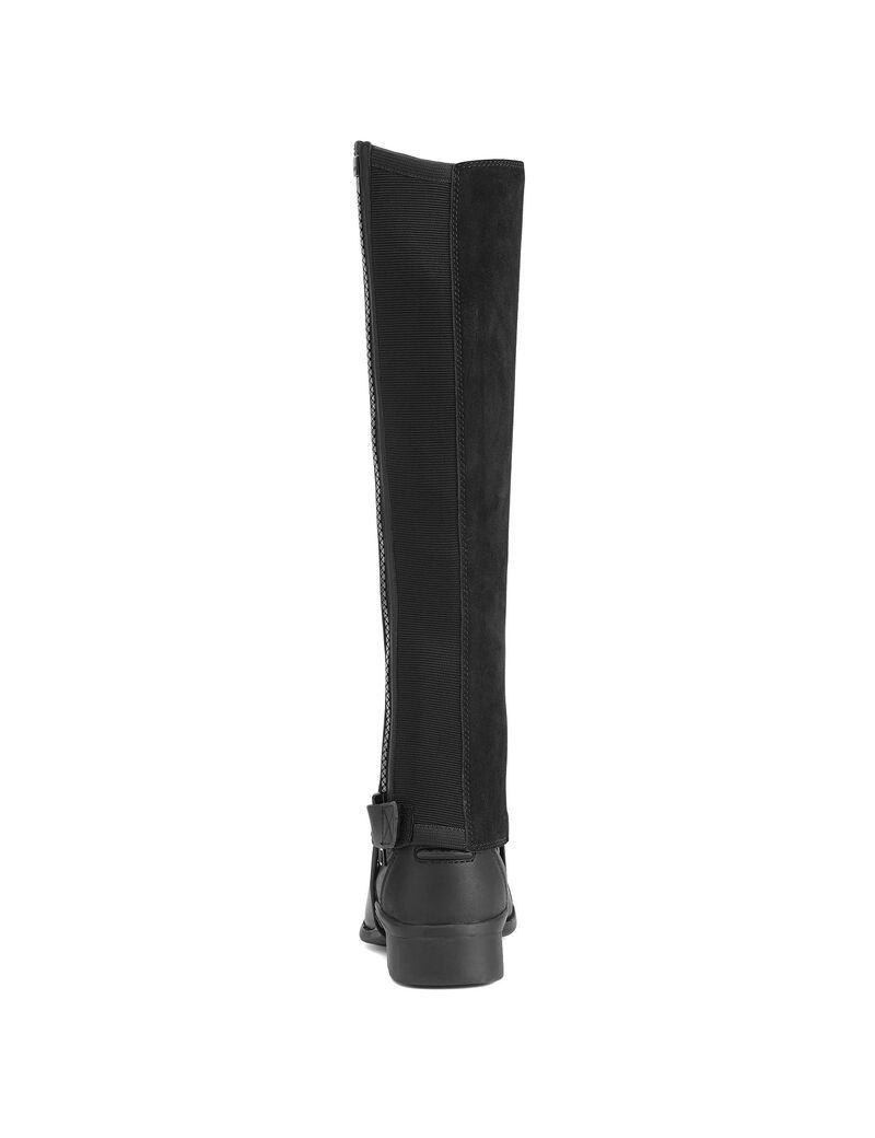 Bottes D'équitation Ariat Scout Chap Half Chap Noir Homme | DZA-84288897