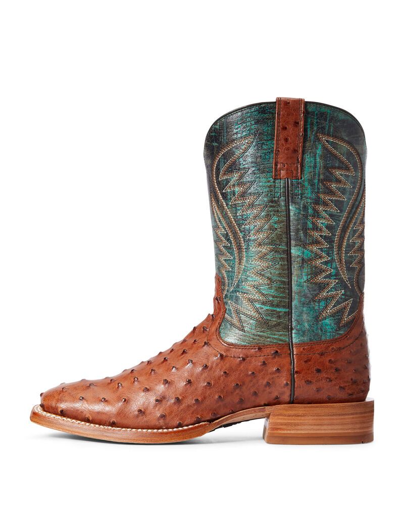 Bottes Western Ariat Gallup Multicolore Homme | IGX-37451406