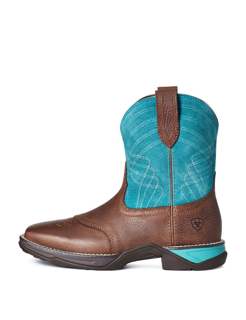 Bottes Western Ariat Anthem Shortie Multicolore Femme | PAL-96873969