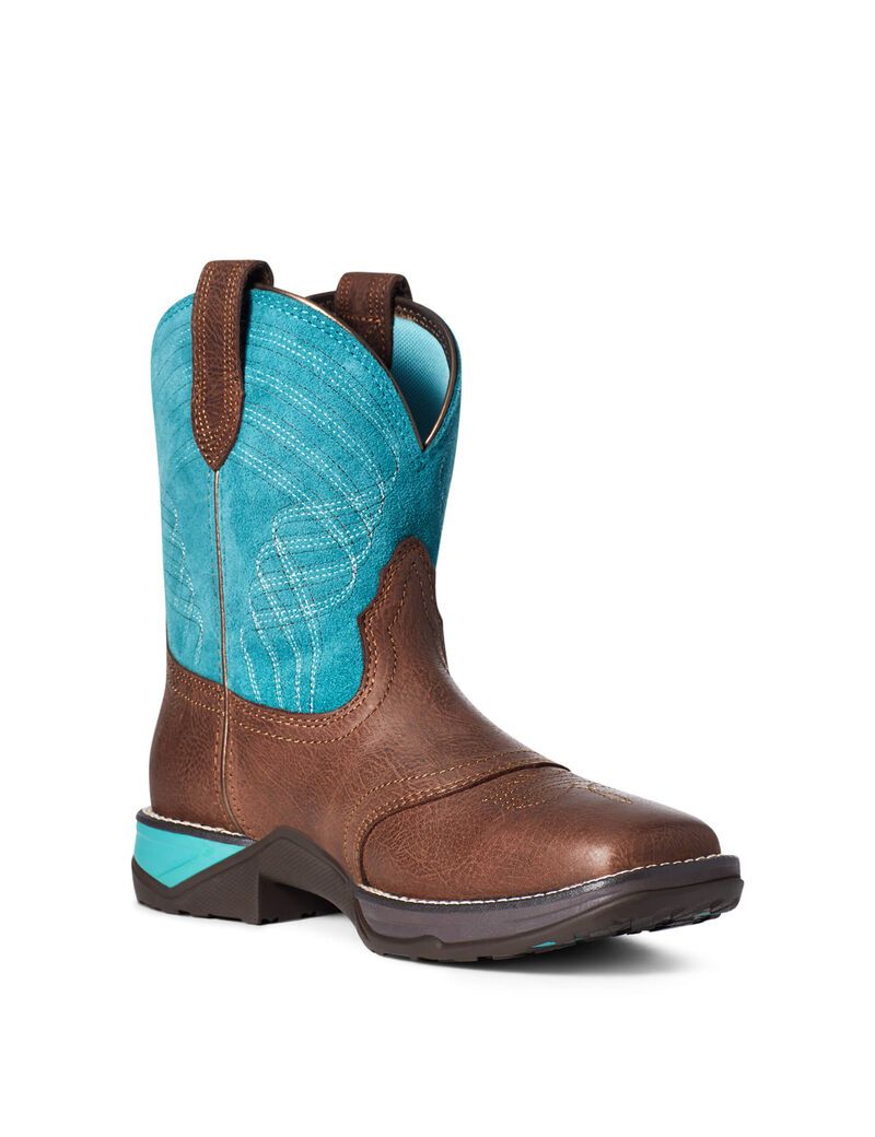 Bottes Western Ariat Anthem Shortie Multicolore Femme | PAL-96873969