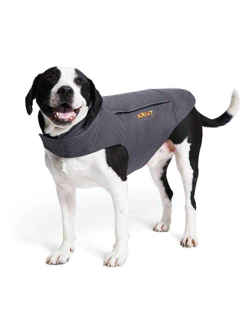 Pet Accessories Ariat Rebar DuraCanvas Insulated Dog Jackets Grise Femme | ZHJ-56058739