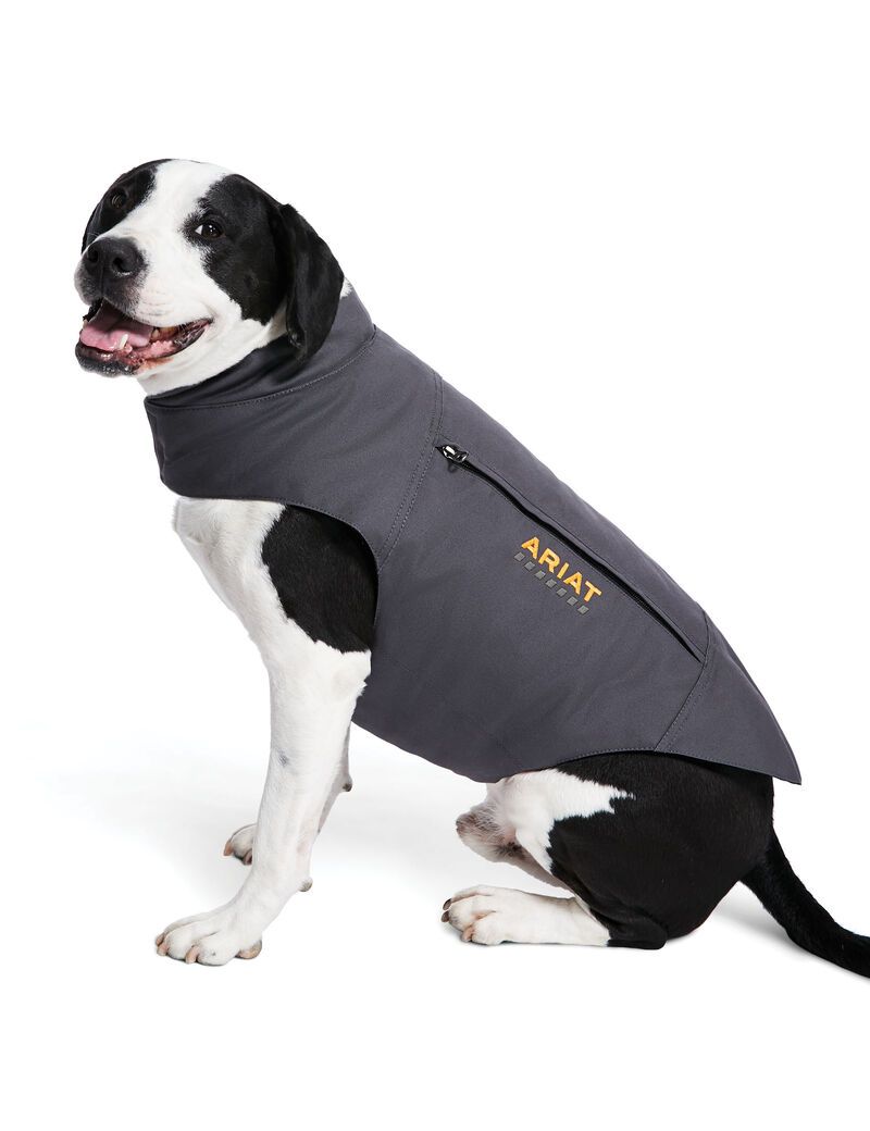 Pet Accessories Ariat Rebar DuraCanvas Insulated Dog Jackets Grise Femme | ZHJ-56058739