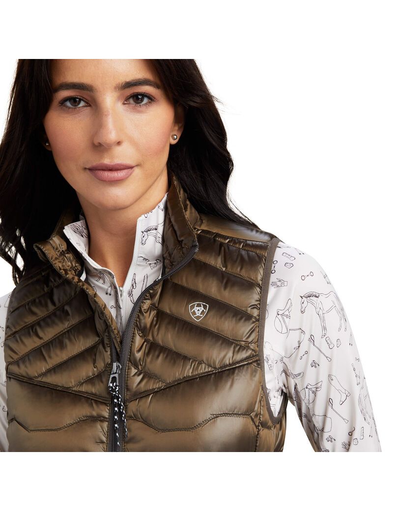 Gilet Ariat Ideal Down Multicolore Femme | WFE-73798299