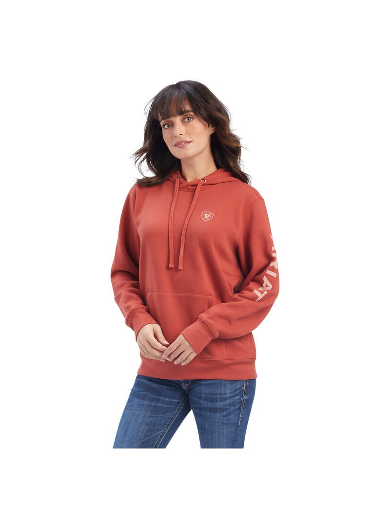 Sweat à Capuche Ariat REAL Classiche Arm Logo Multicolore Femme | SAJ-26125567