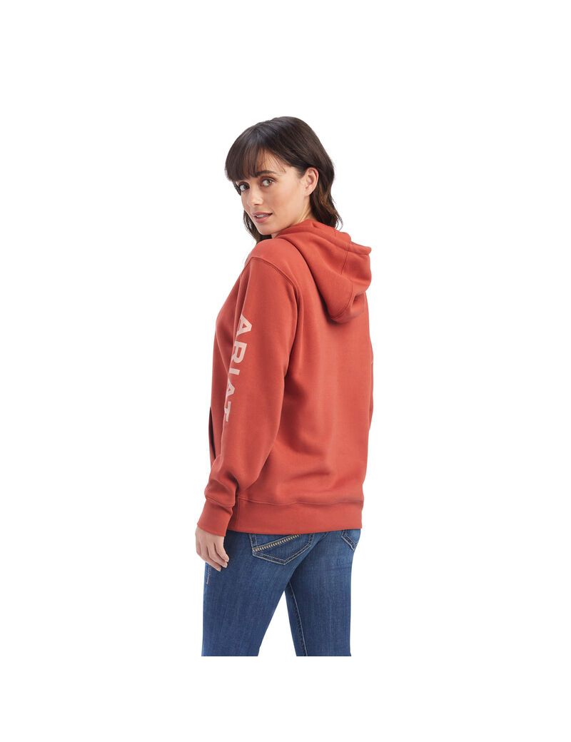 Sweat à Capuche Ariat REAL Classiche Arm Logo Multicolore Femme | SAJ-26125567