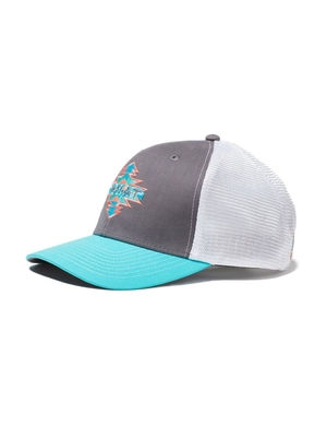 Casquettes Ariat Aztec Logo Snapback Grise Femme | ATH-88277801