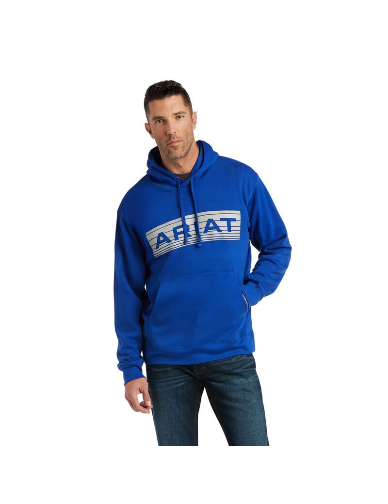 Sweat à Capuche Ariat Basic Sweatshirt Bleu Foncé Grise Homme | KSD-99327013