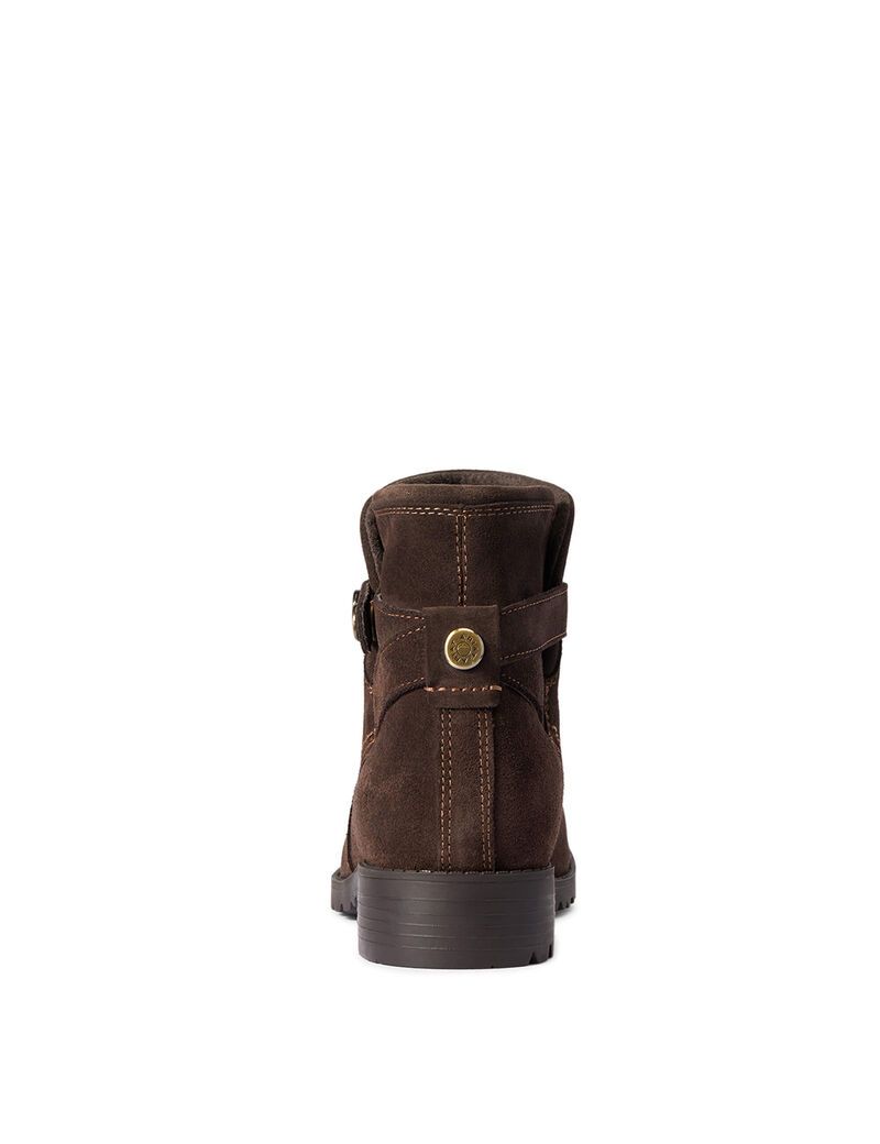 Bottes Imperméables Ariat Charlie Imperméables Chocolat Femme | SHC-00632824