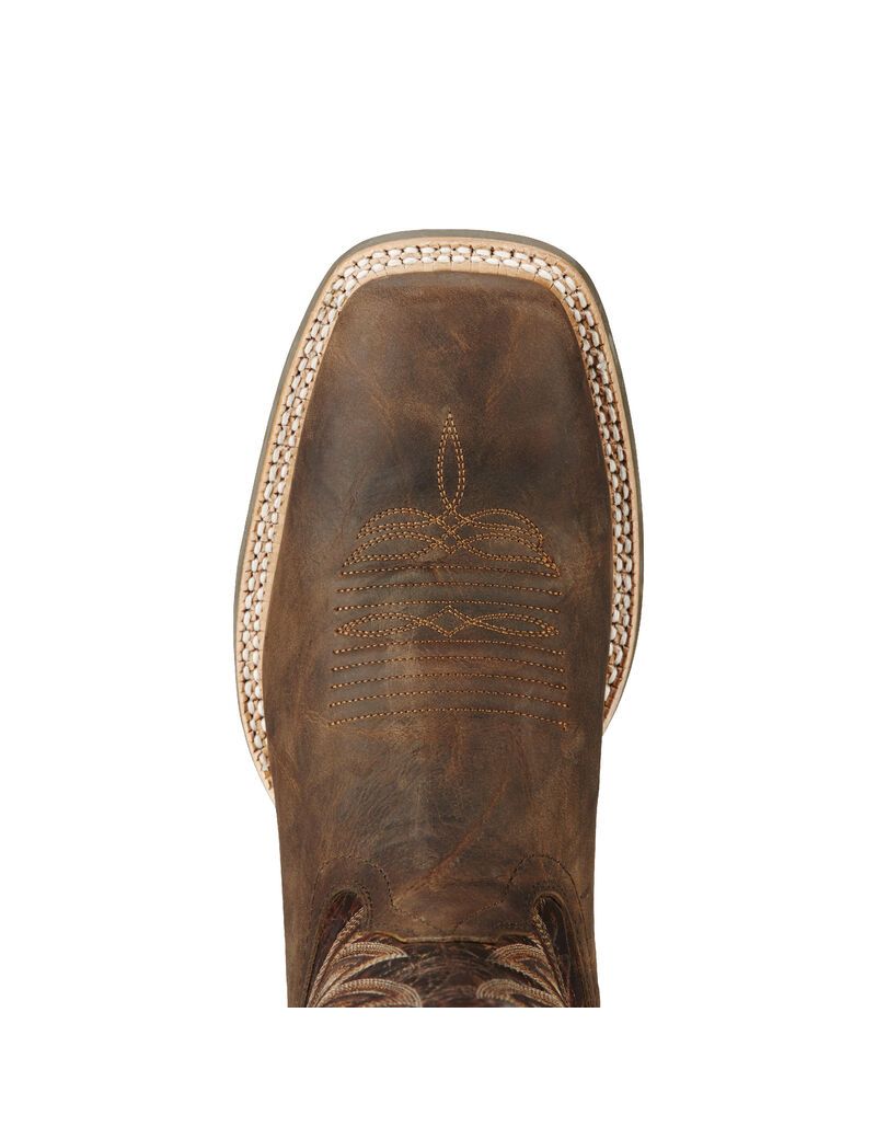 Bottes Western Ariat Challenger Marron Homme | WEL-38186345