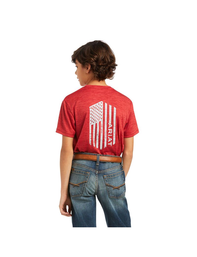 T Shirts Ariat Charger Vertical Flag Tee Multicolore Enfant | BAE-05515829