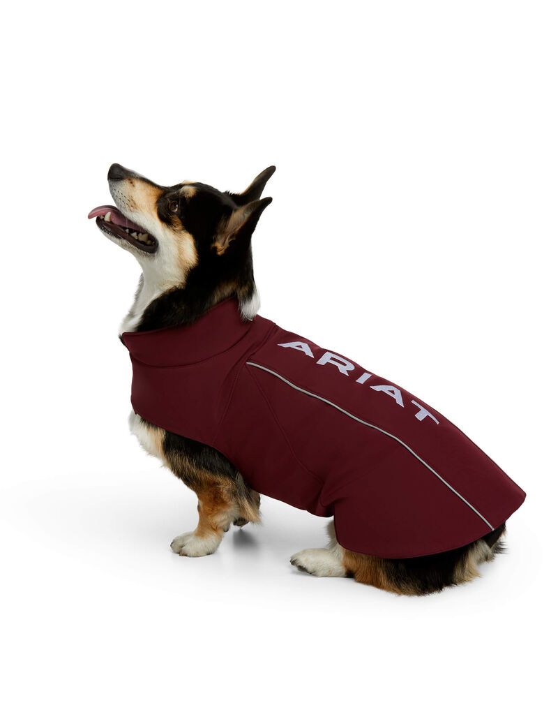 Pet Accessories Ariat Team Softshell Dog Jackets Bordeaux Homme | YVV-61763720