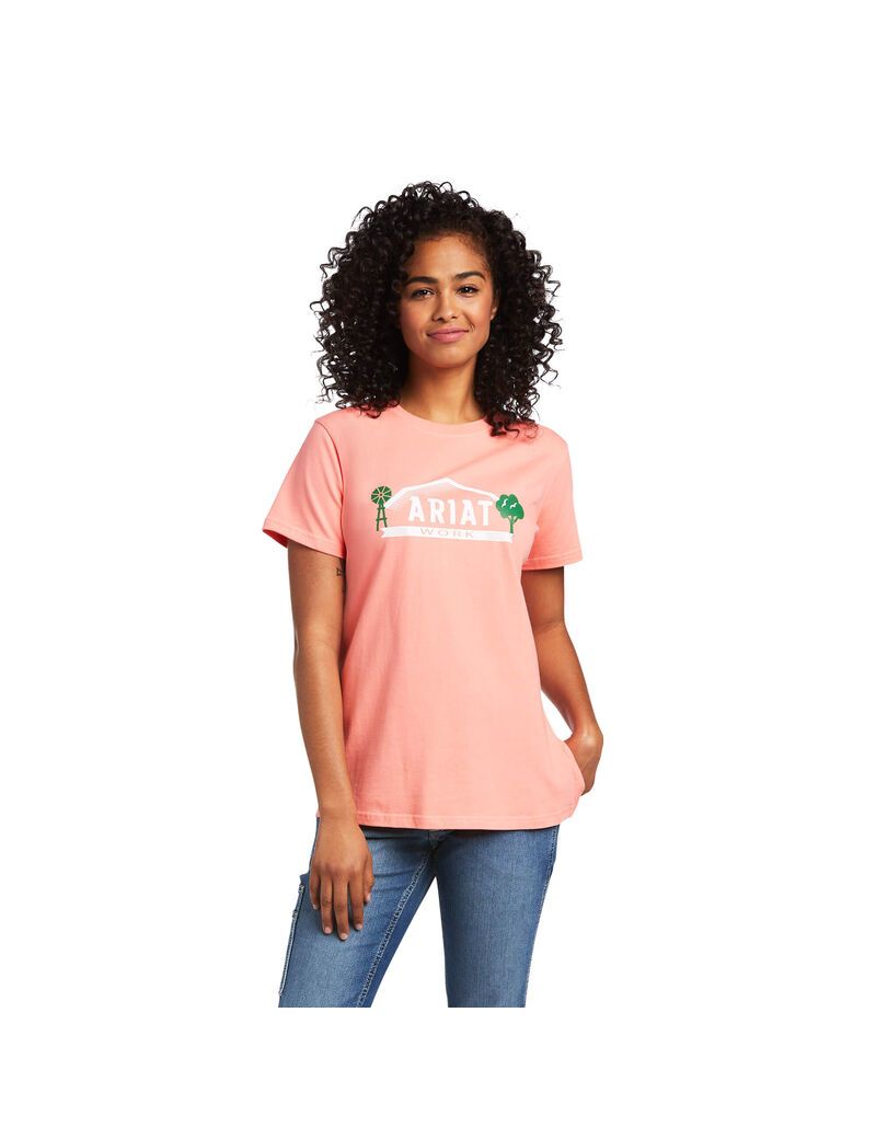 Vêtements De Travail Ariat Rebar Coton Strong Farm Graphique T Shirts Multicolore Femme | PMX-51926861