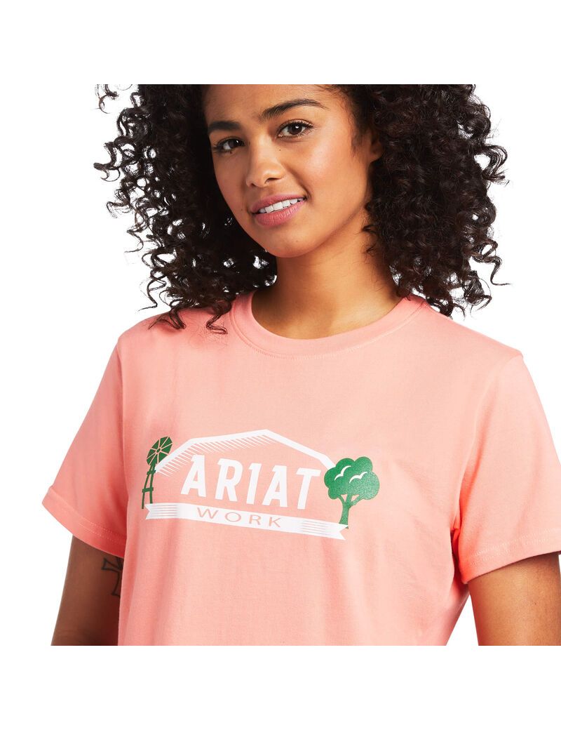 Vêtements De Travail Ariat Rebar Coton Strong Farm Graphique T Shirts Multicolore Femme | PMX-51926861