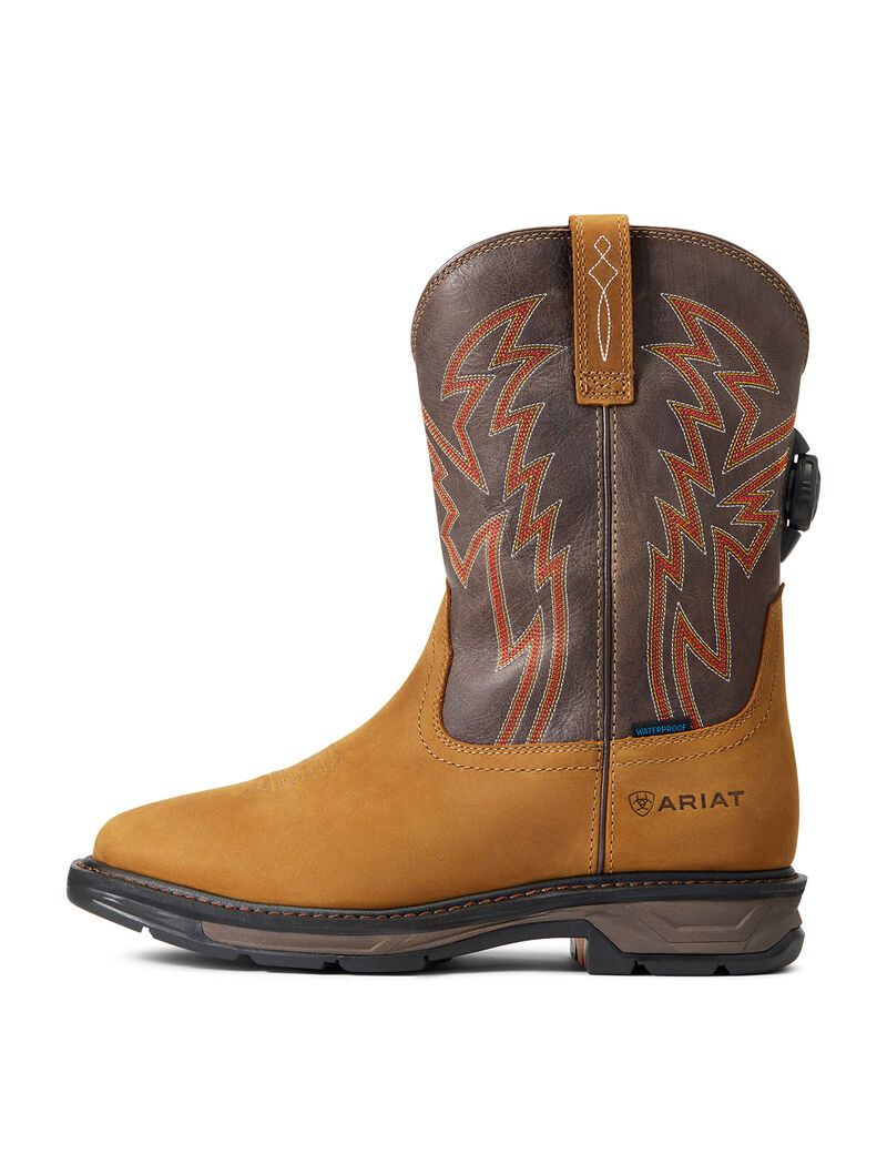 Bottes de Travail Ariat WorkHog XT BOA Imperméables Multicolore Homme | GIJ-58019279