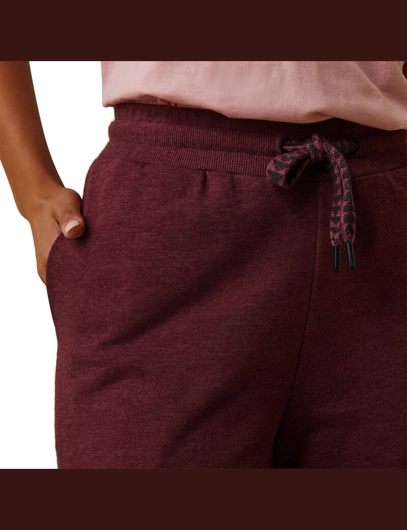 Pantalon Ariat Route Runner Bordeaux Femme | XQC-77747887