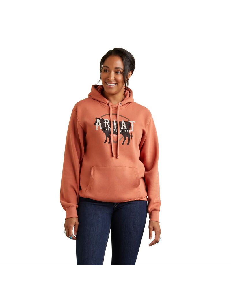 Sweat à Capuche Ariat REAL Branded Logo Multicolore Femme | EAX-52271160