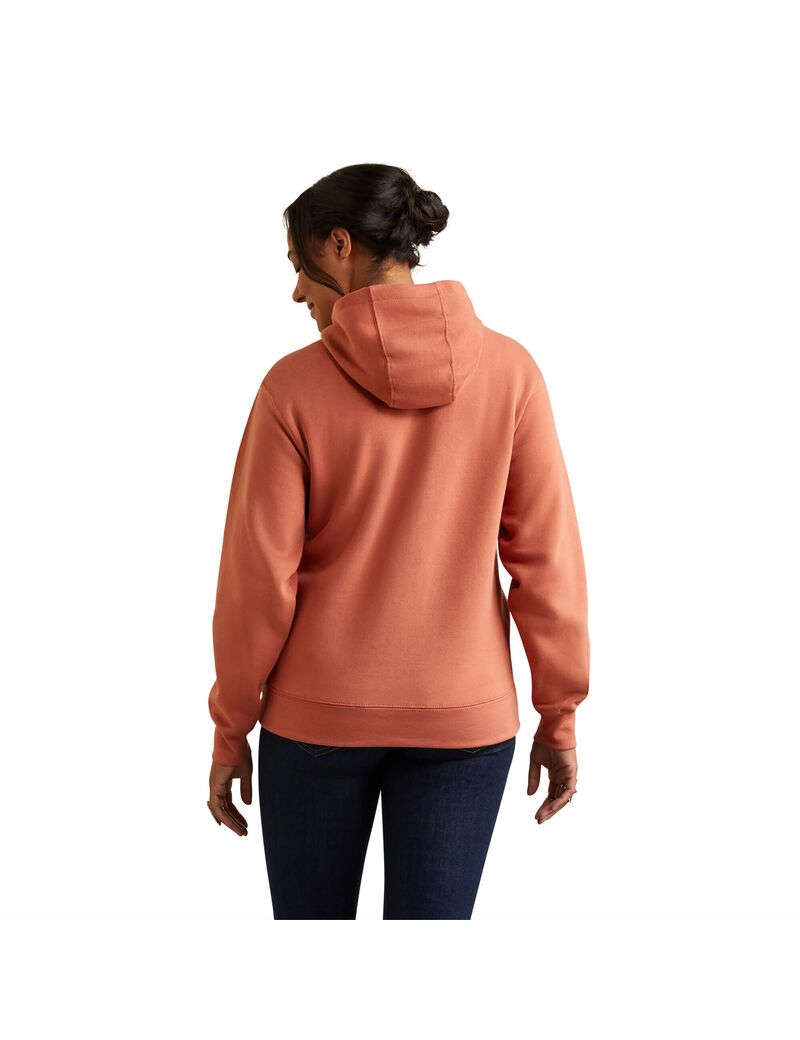 Sweat à Capuche Ariat REAL Branded Logo Multicolore Femme | EAX-52271160