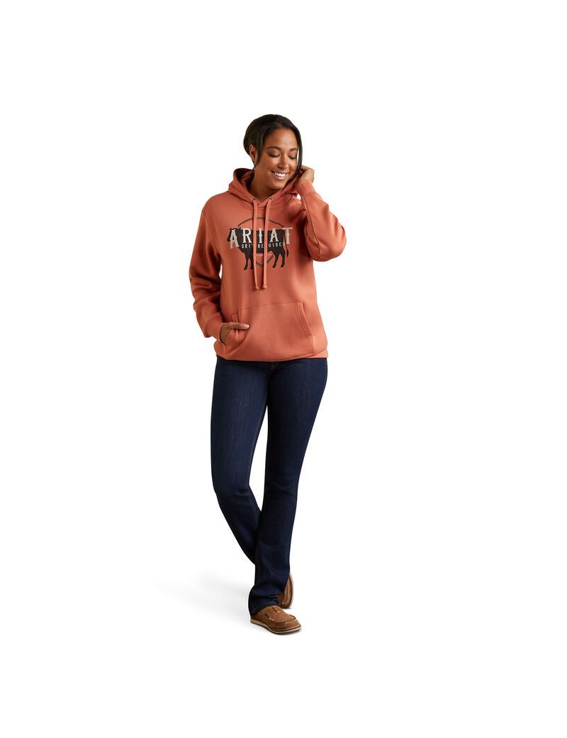 Sweat à Capuche Ariat REAL Branded Logo Multicolore Femme | EAX-52271160