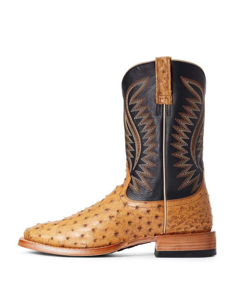 Bottes Western Ariat Gallup Marron Homme | DOU-11098761