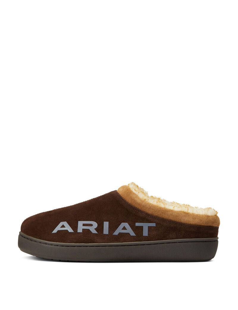 Chaussons Ariat Logo Encapuchonné Back Clog Chocolat Homme | BYA-75882553