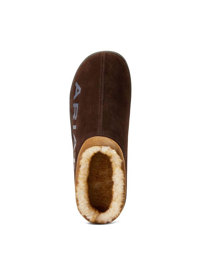 Chaussons Ariat Logo Encapuchonné Back Clog Chocolat Homme | BYA-75882553