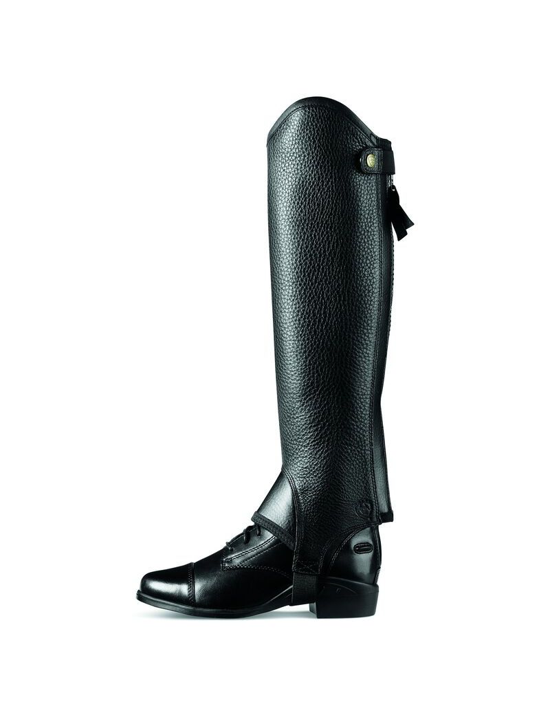 Bottes D'équitation Ariat Concord Chap Half Chap Noir Femme | UKP-59149873