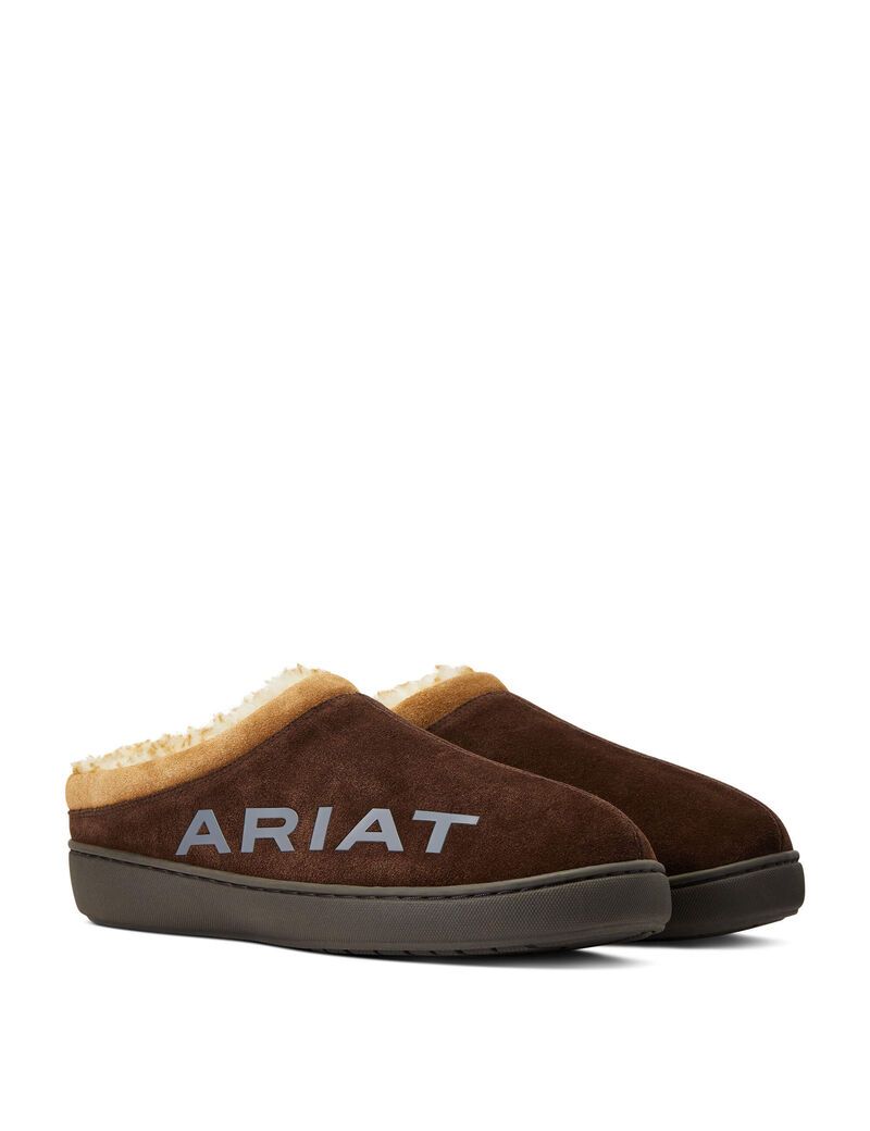 Chaussons Ariat Logo Encapuchonné Back Clog Chocolat Homme | BYA-75882553