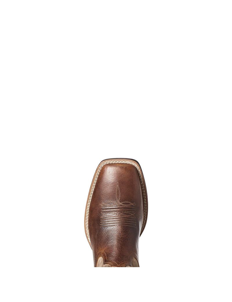 Bottes Western Ariat Qualifier Marron Homme | VOO-57632214