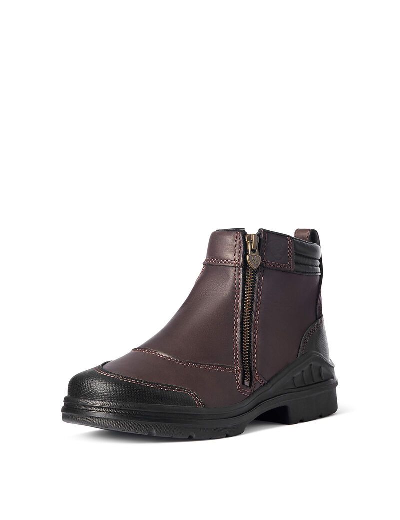 Bottes D'équitation Ariat Barnyard Side Zip Marron Foncé Femme | CYR-02537503