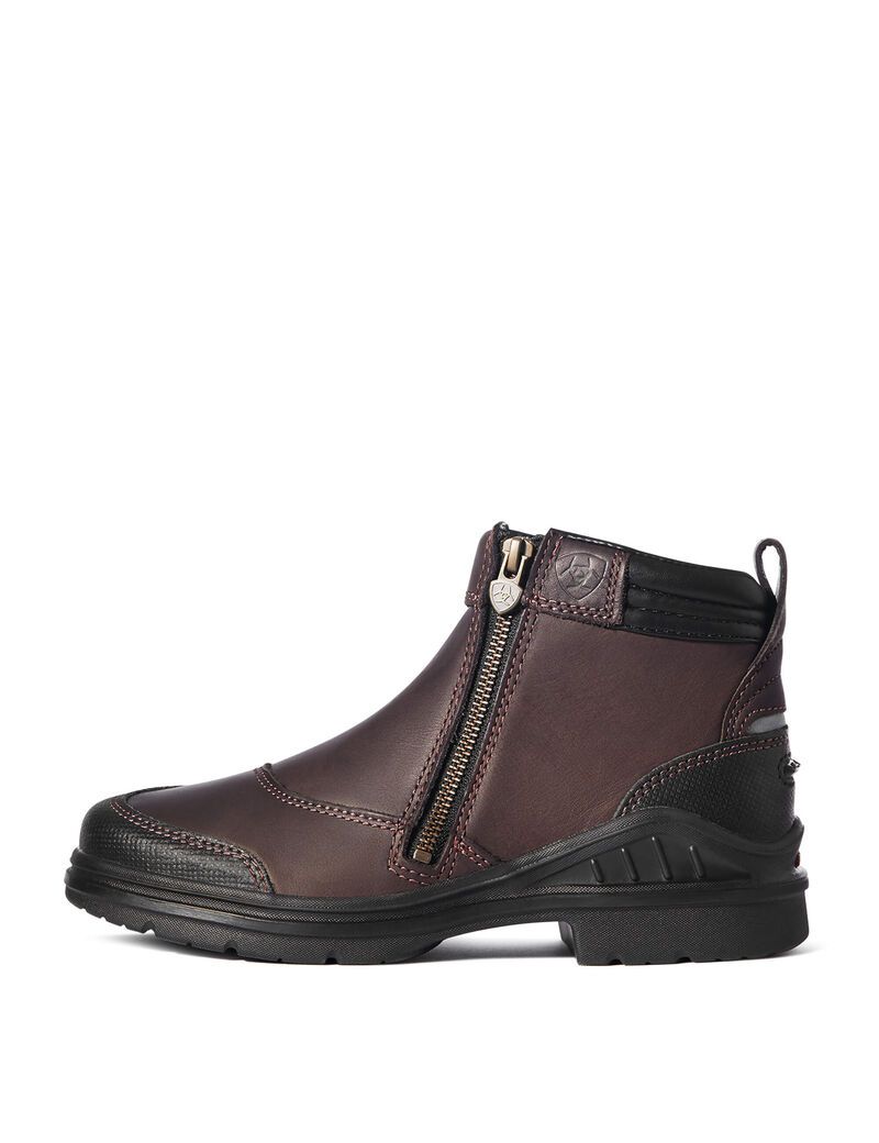 Bottes D'équitation Ariat Barnyard Side Zip Marron Foncé Femme | CYR-02537503