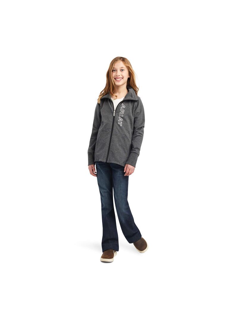 Sweats Ariat Team Logo Full Zip Grise Enfant | TDC-03041298