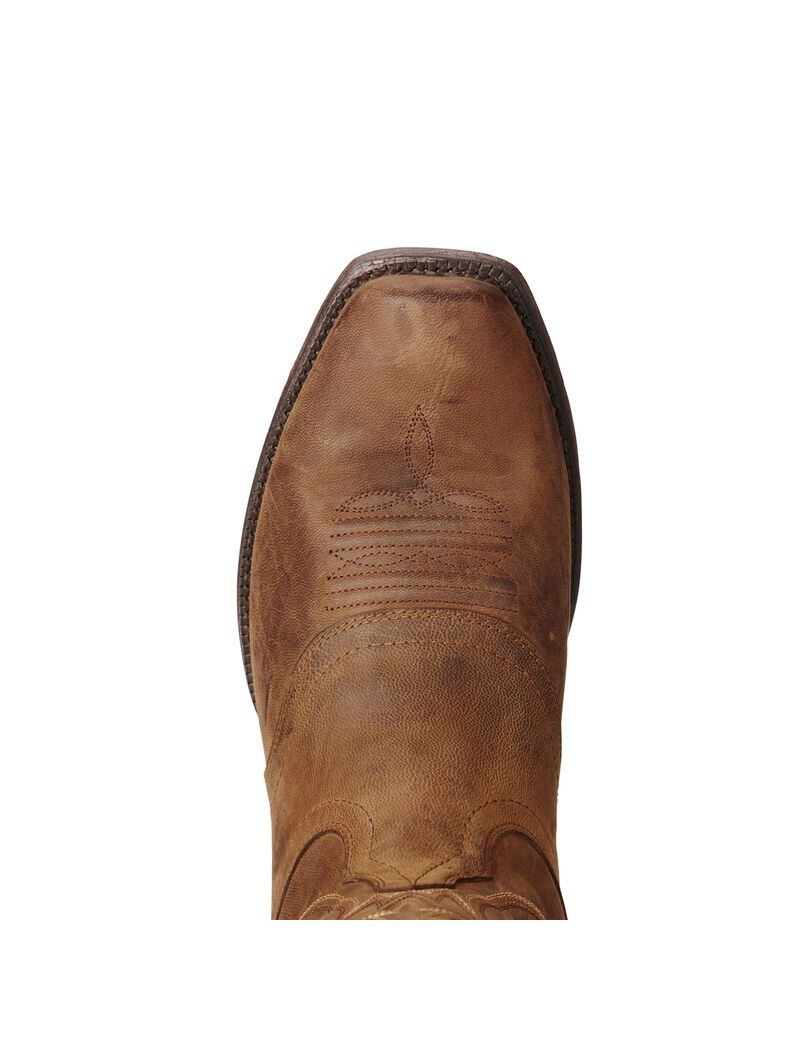 Bottes Western Ariat Circuit Striker Marron Homme | ZAX-18849536