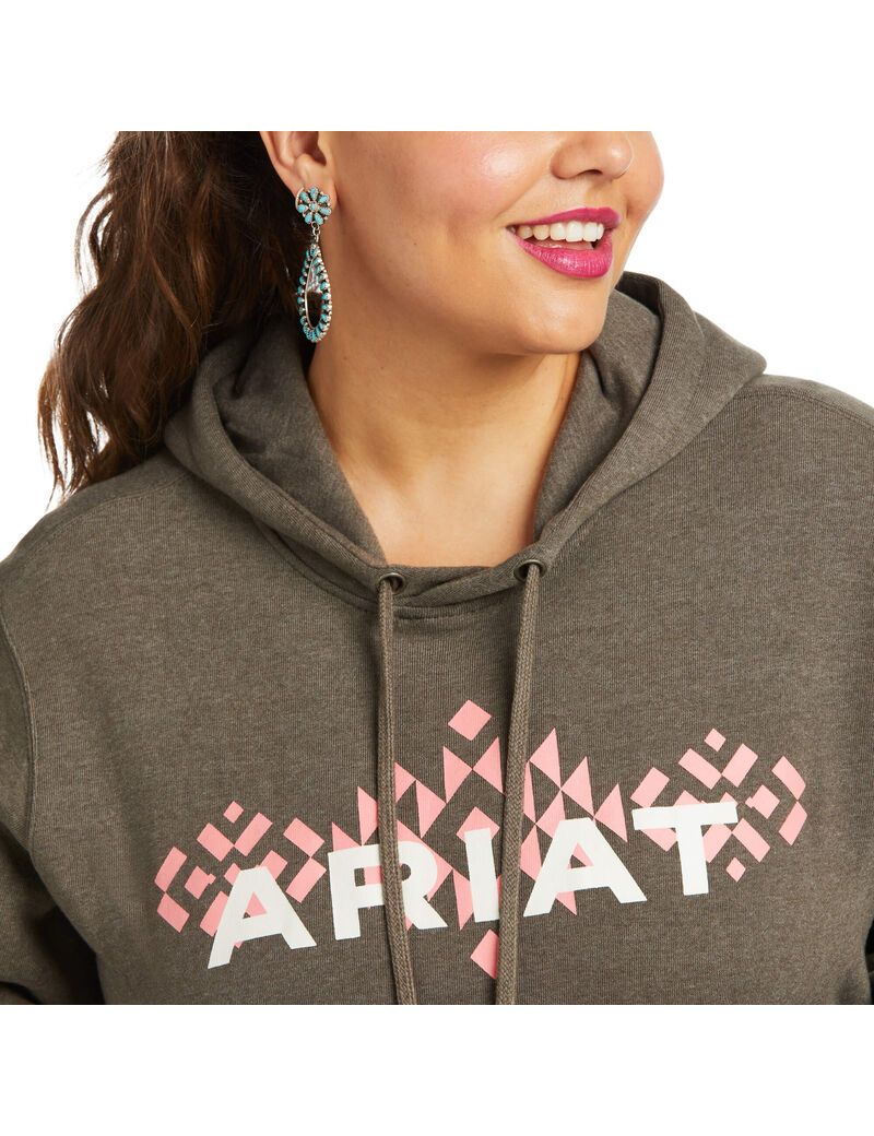 Sweat à Capuche Ariat REAL Arm Logo Multicolore Femme | GCY-47703576