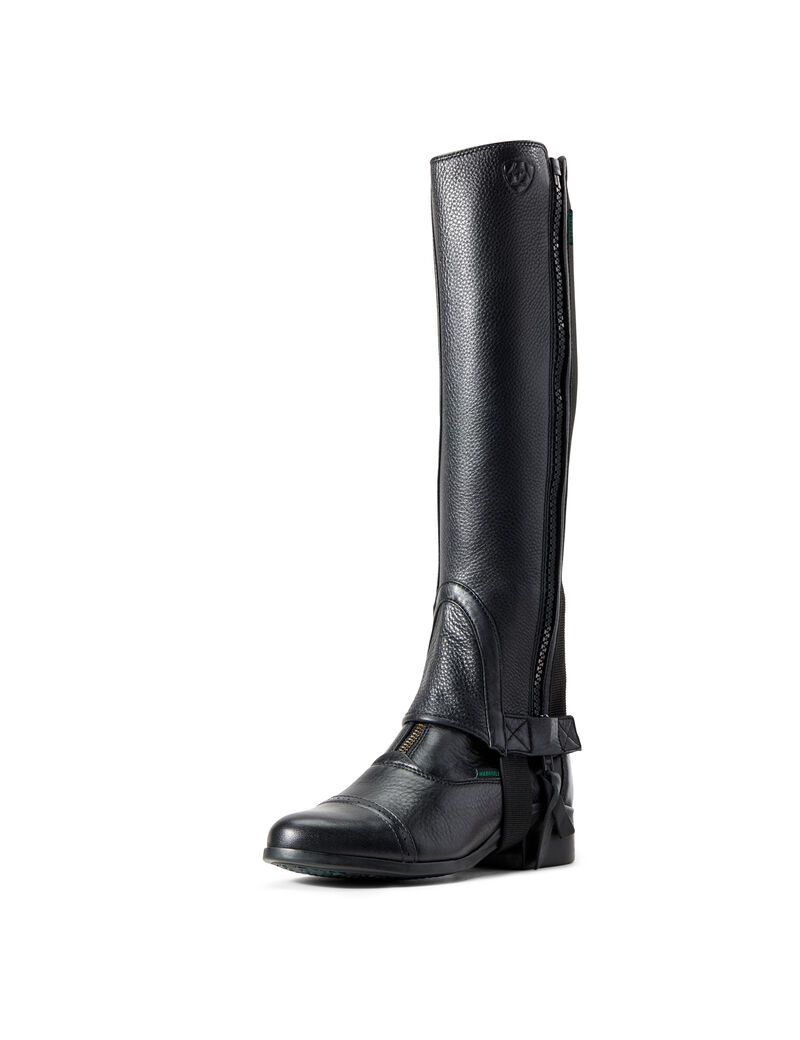 Bottes D'équitation Ariat Breeze Chap Half Chap Noir Homme | TWN-29976785