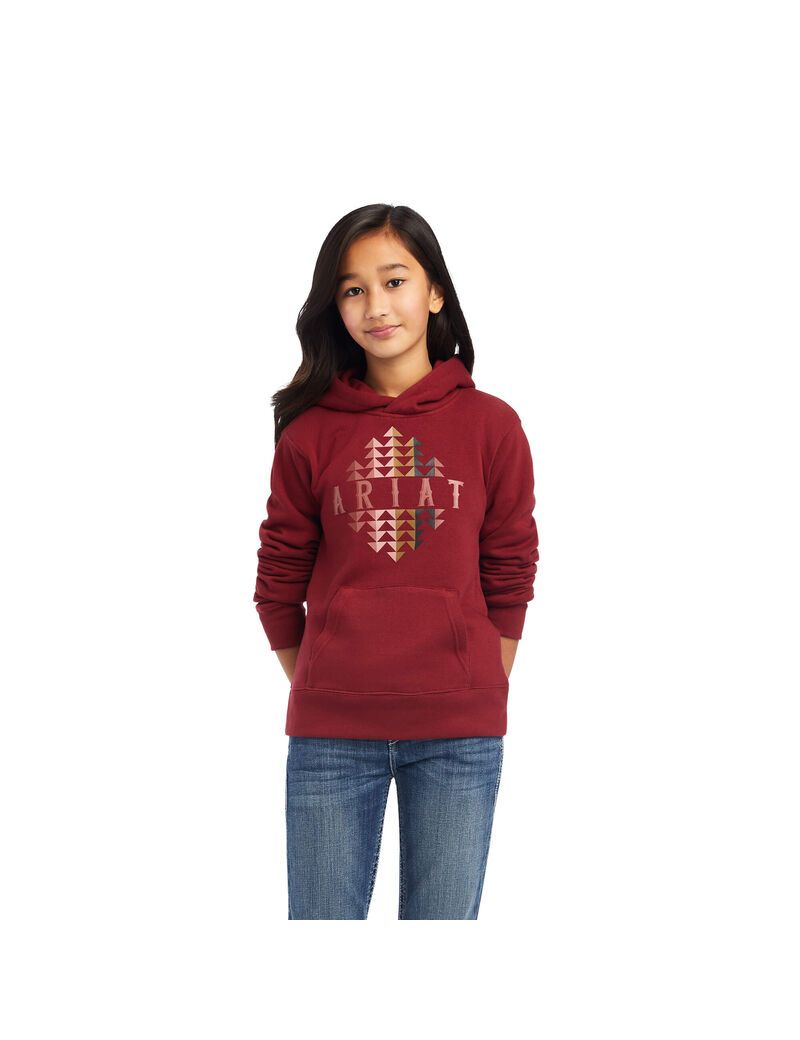 Sweat à Capuche Ariat REAL Beartooth Rouge Foncé Enfant | GJK-39476264