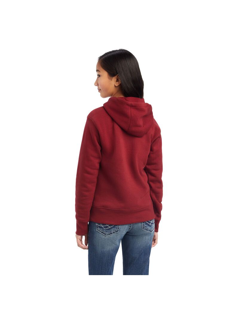 Sweat à Capuche Ariat REAL Beartooth Rouge Foncé Enfant | GJK-39476264