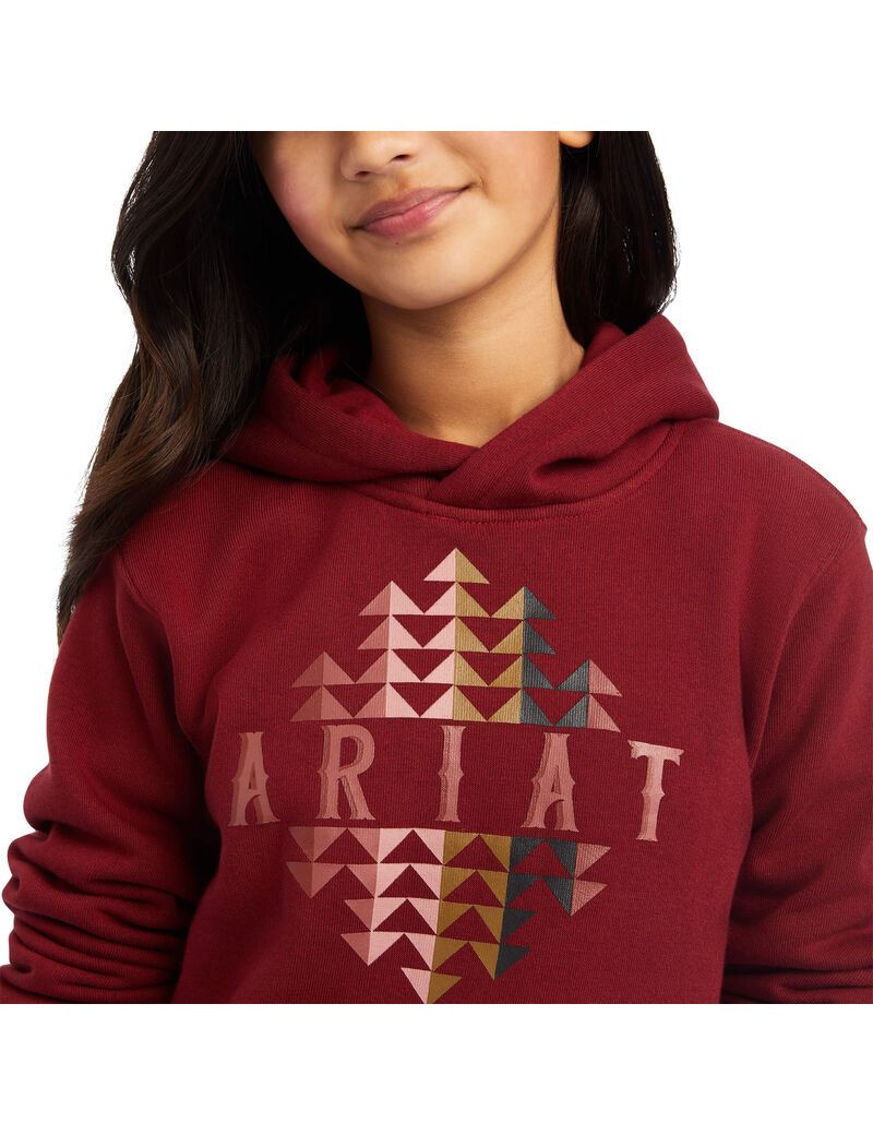 Sweat à Capuche Ariat REAL Beartooth Rouge Foncé Enfant | GJK-39476264