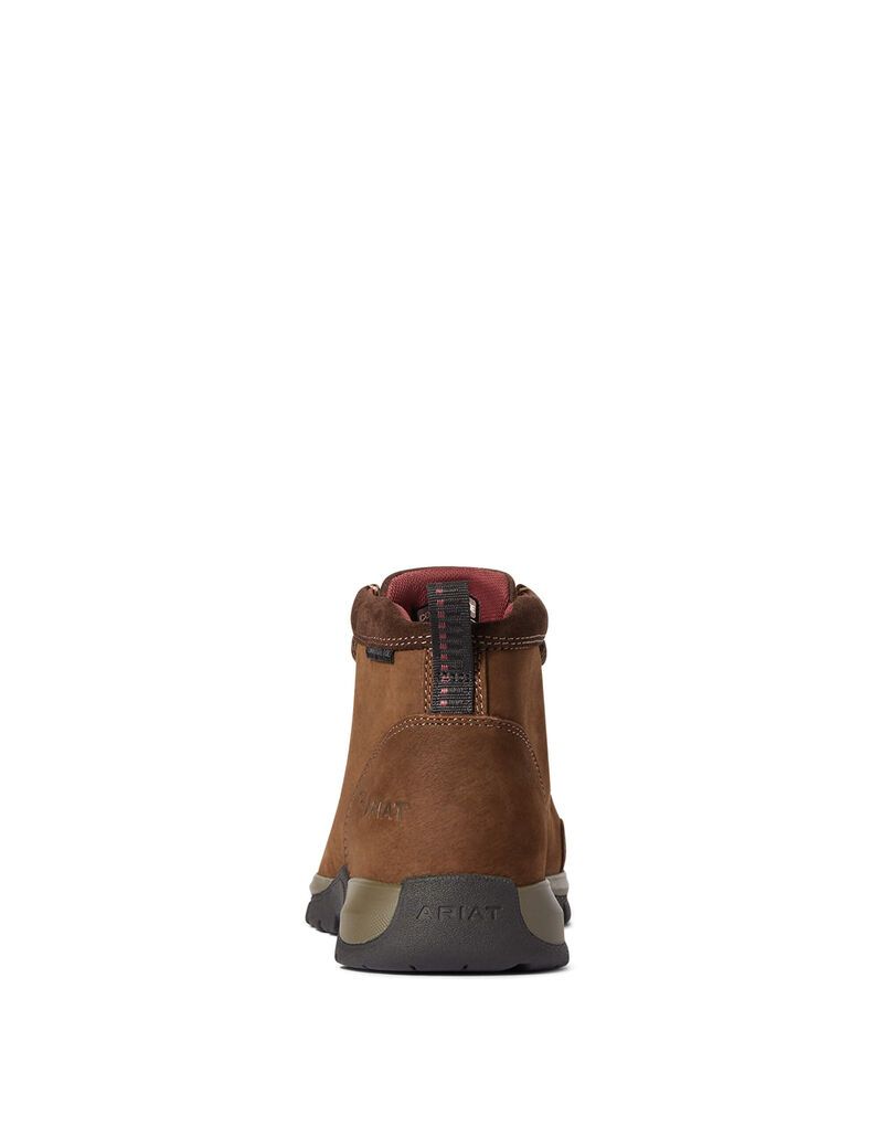 Bottes de Travail Ariat Edge LTE Moc Composite Embout Marron Foncé Femme | AKN-01533122