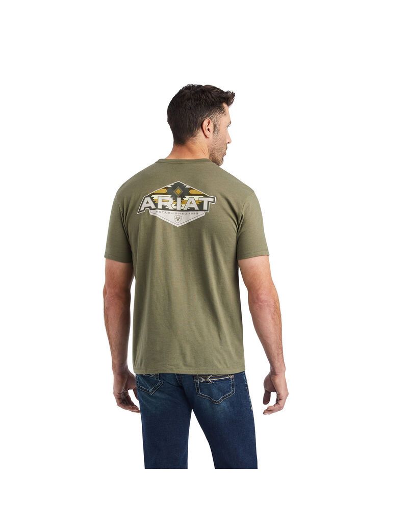 T Shirts Ariat Hexafill Multicolore Homme | DJD-17891893