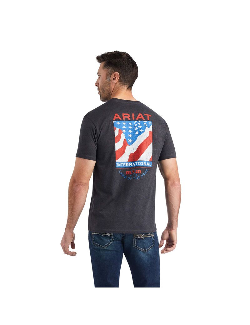 T Shirts Ariat Flag Flow Grise Homme | GQN-21296424