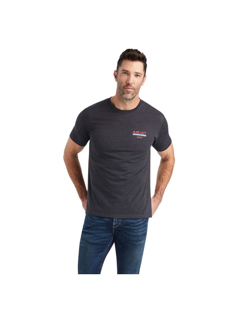 T Shirts Ariat Flag Flow Grise Homme | GQN-21296424