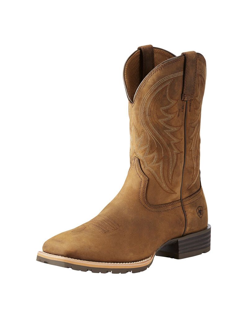 Bottes Western Ariat Hybride Rancher Marron Homme | NGG-57428974