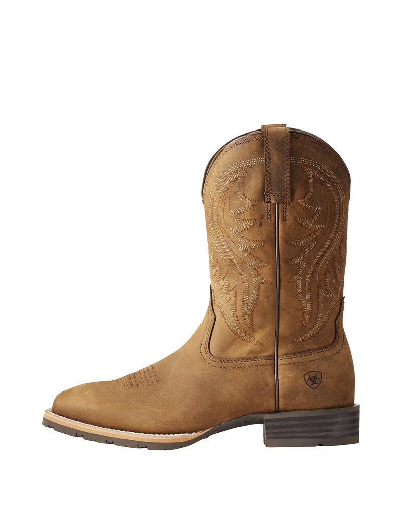 Bottes Western Ariat Hybride Rancher Marron Homme | NGG-57428974